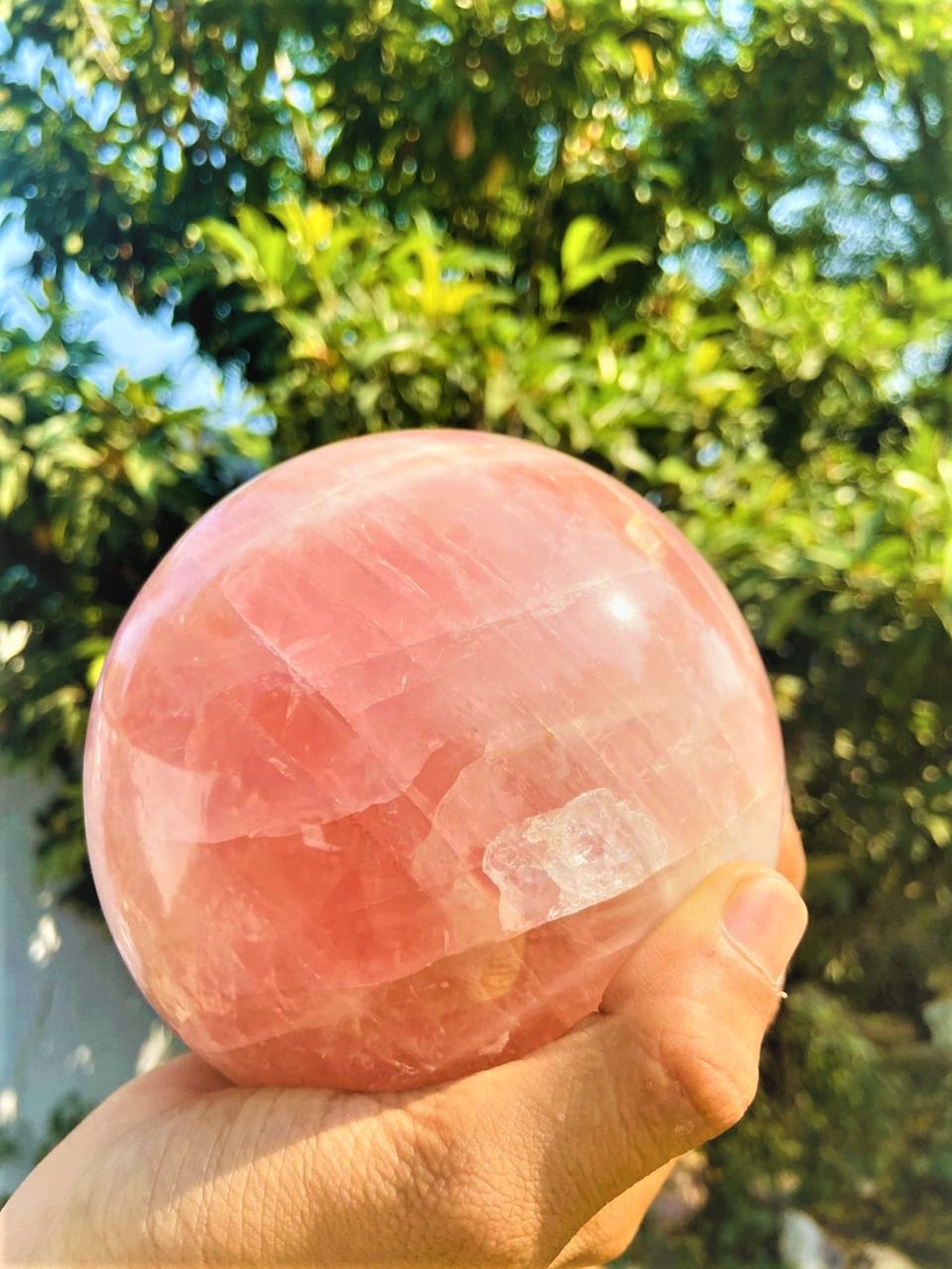 60mm/5pc Bulk Natural Rose Quartz Sphere With Stand Healing Etsy