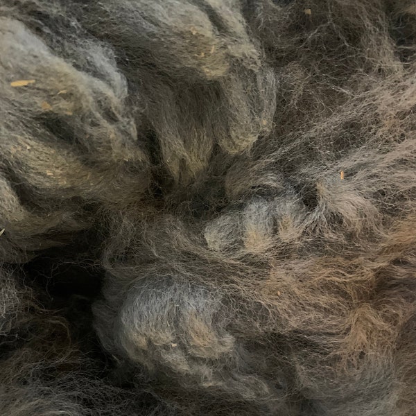 Fibra de Alpaca Huacaya Gris Cruda