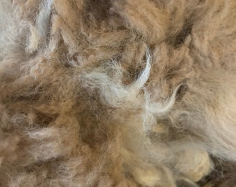 Raw Huacaya Alpaca Fiber