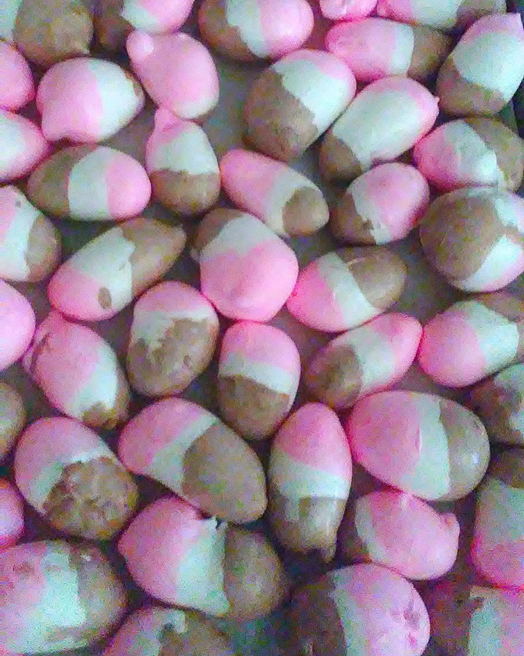 Bonbons Lyophilisés Citron Croquant – Sachet 90g – Croustillant & Acidulé