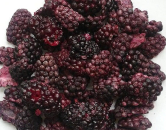 Freeze Dried Organic Blackberries, Healthy Snacks, Plant Based, Vegan, Easter Gift, Freeze Dried Fruit, Birthday Gift, Rabbit Treat