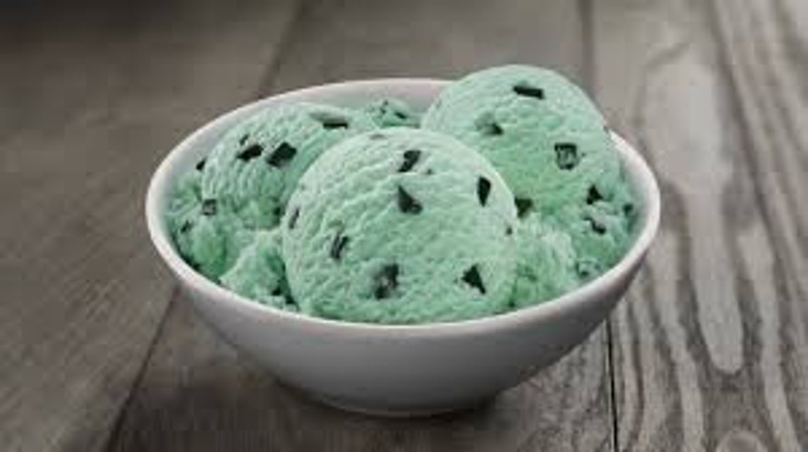 Mint Chocolate Chip Ice Cream Freeze Dried Candy Valentines Etsy