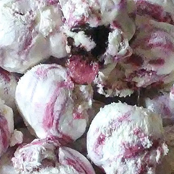 White Chocolate Raspberry Truffle Ice Cream Freeze Dried, Snacks, Gifts, Kid Gifts, Birthday Gifts, Easter Candy, Easter Gift