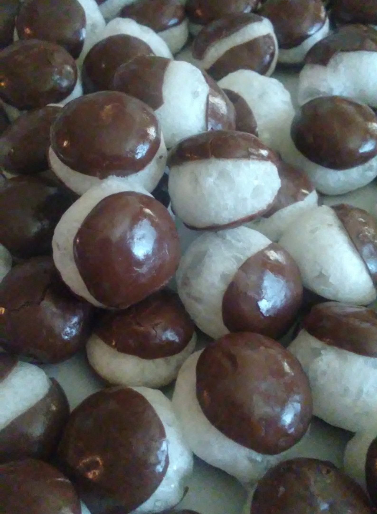 Freeze Dried Junior Mints Candy Valentines Gift Easter Etsy