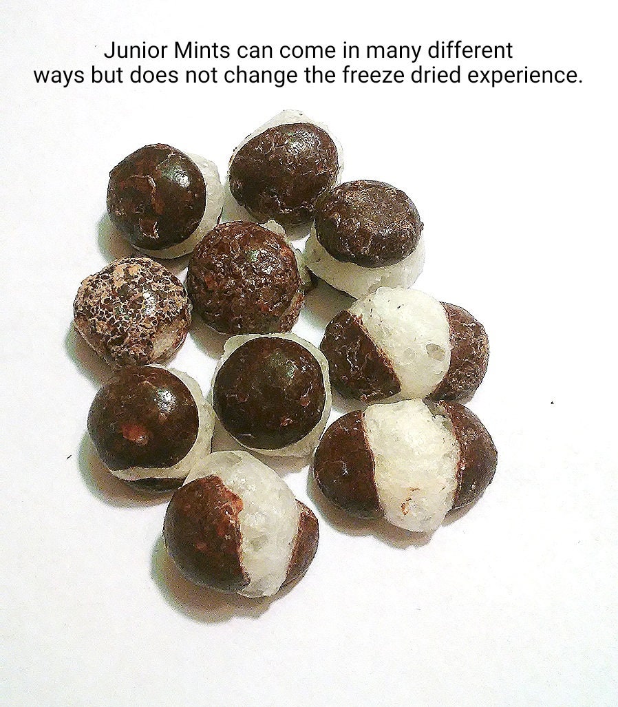 Freeze Dried Junior Mints Candy Valentines Gift Easter Etsy