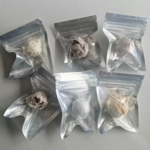 Freeze Dried Non Dairy Dessert Ice Cream Sample Pack, Birthday Day Gift, Halloween Candy, Food, Gifts, Kids Gifts, Freeze Dried Dessert