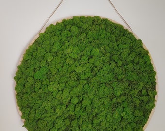 Moosblid with string, rounad wall decor with moss