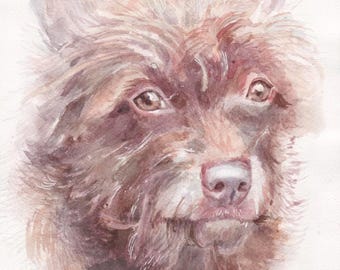Retrato de mascota personalizado en acuarela a partir de una foto. Pintura de perro y gato pintada a mano.