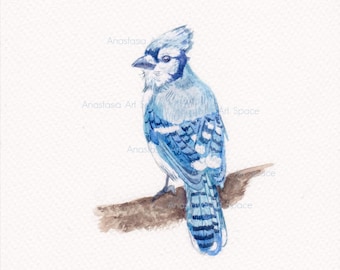 Blue robin bird watercolor painting, hand painted original art, 4x4"