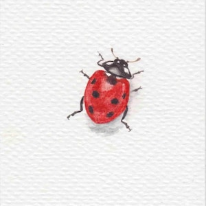 Piccola opera d'arte originale, grazioso dipinto ad acquerello di una coccinella, opera d'arte dipinta a mano, 2x3"