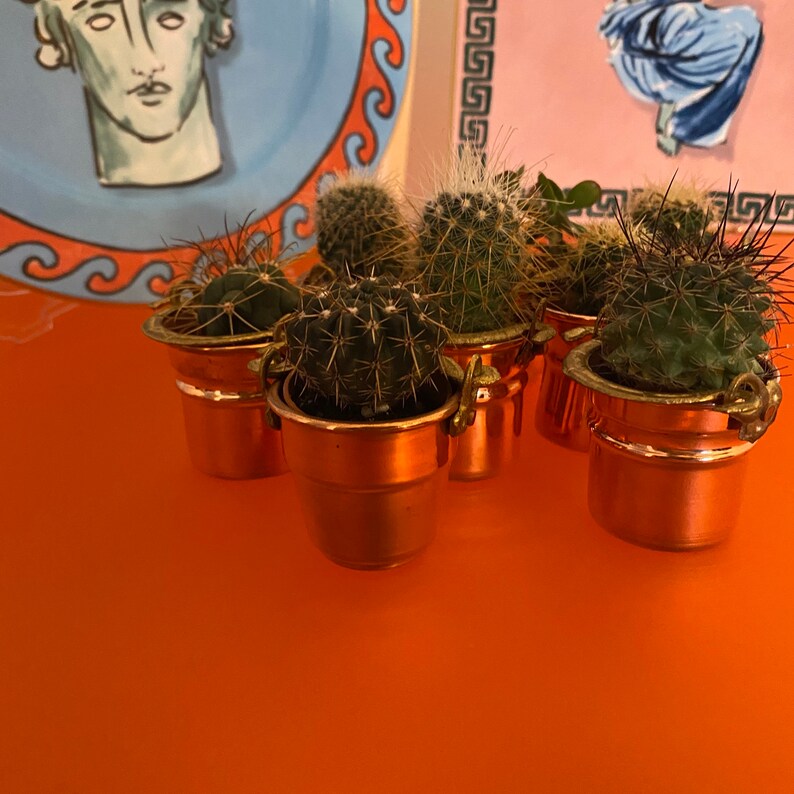 Mini pot de plantes succulentes en cuivre, pots de plantes suspendus en cuivre. Objets faits à la main, jardinière murale intérieure, petit pot succulent, jardinière dherbes intérieures image 3