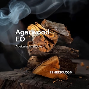 May include: A close-up of agarwood pieces with the text "Agarwood EO" and "Aquilaria Agallocha". The wood is brown and orange, with a dark background and wisps of smoke. The website 99HERBS.COM is also visible.