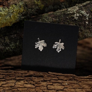 zierliche Ahorn (Feldahorn) Ohrstecker aus Sterlingsilber, handgefertigt in Deutschland, Geschenk