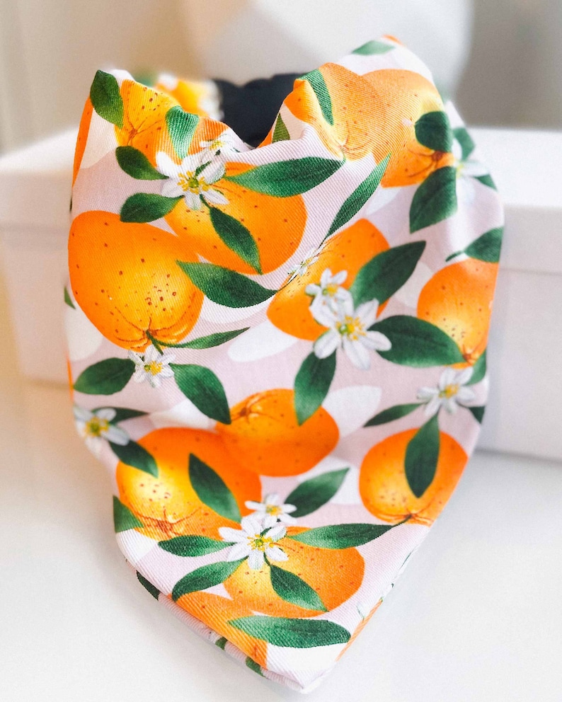 21 Cutest Dog Bandanas for Australian Dogs (Because Naked Necks Are Out)