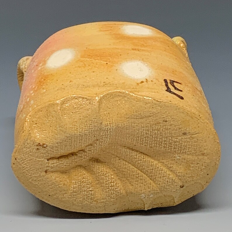 Oval shaped bottle with double handles