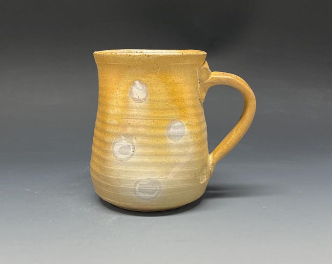 Wood Fired Salt Glazed Stoneware Mug
