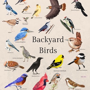 Póster de pájaros del patio trasero, tamaño 8x10