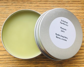 Plantain Salve (plantago major), Organic, wildcrafted, made from fresh plant material
