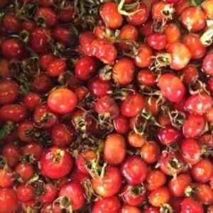 May include: A close-up of a collection of vibrant red rose hips, some with green stems and sepals. The rose hips are of varying sizes and shapes, with some round and others more oval. The texture appears slightly uneven, with some showing minor imperfections.