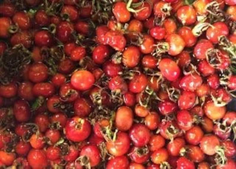 May include: A close-up of a collection of vibrant red rose hips, some with green stems and sepals. The rose hips are of varying sizes and shapes, with some round and others more oval. The texture appears slightly uneven, with some showing minor imperfections.