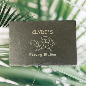 May include: A dark grey slate feeding station for a pet turtle. The text "CLYDE'S" is above a turtle illustration, with "Feeding Station" below. The background features blurred green leaves. The slate is rectangular.
