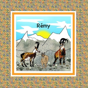 Faire-part de naissance chamois