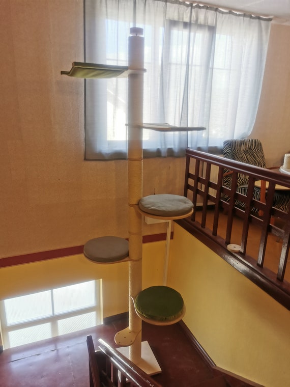 custom cat furniture