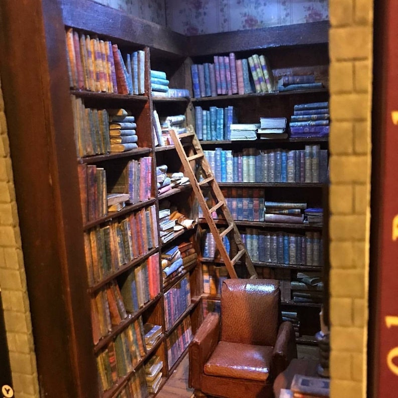 Library Book Nook, Book Shelf Insert, Booknook, Magic Diorama 