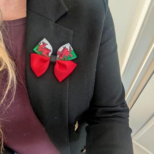 Könnte beinhalten: Eine rote Schleife mit einem weißen und grünen Drachenmuster. Die Schleife ist aus Stoff und hat ein schwarzes Band in der Mitte.