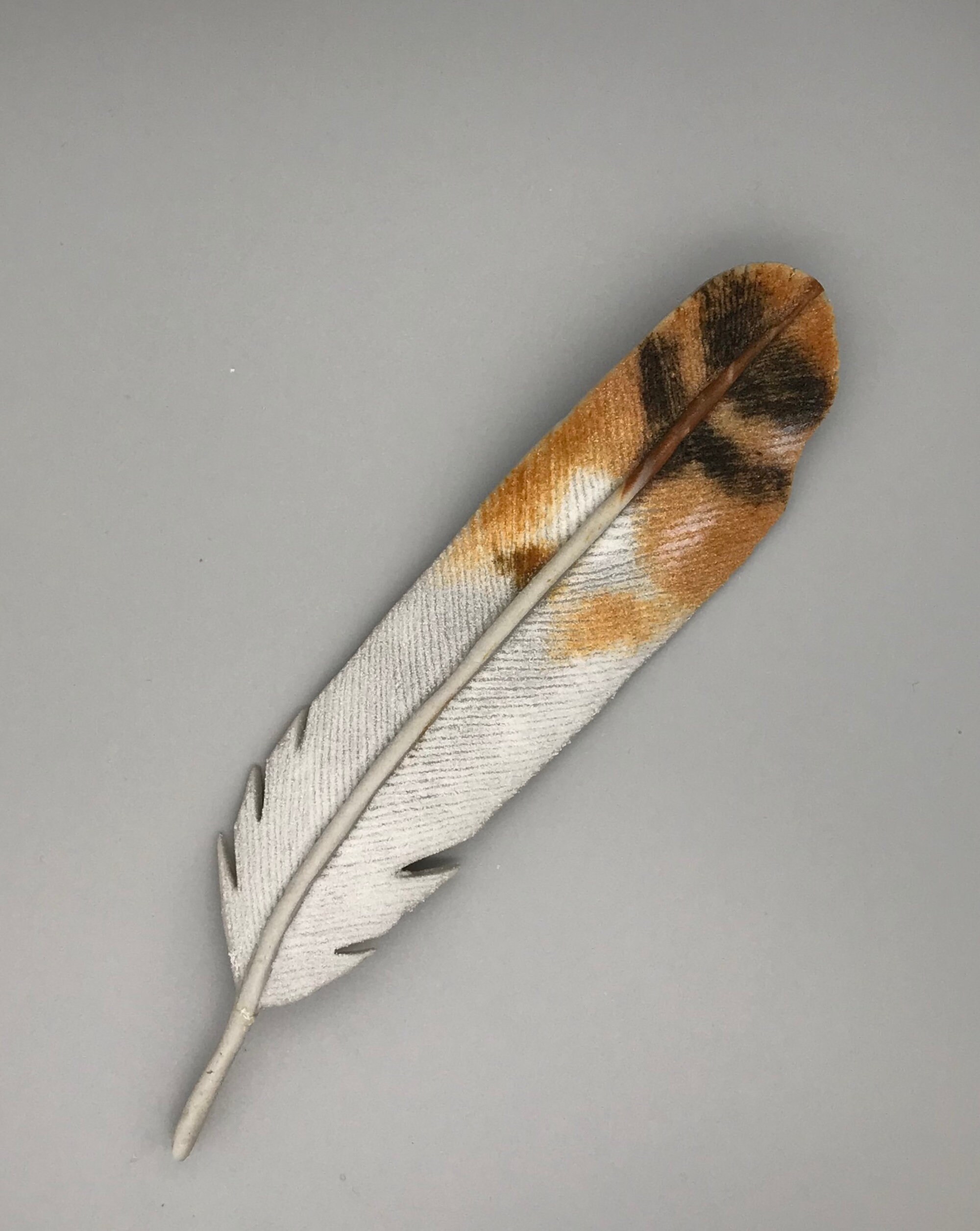 Roughlegged Hawk Tail Feather Etsy