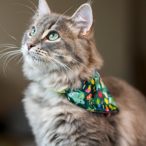Op de afbeelding: Een pluizige grijze kat met groene ogen draagt een groene bandana met een kleurrijk patroon van fruit en planten. De kat kijkt omhoog, met zijn lange snorharen zichtbaar. De bandana is om de nek van de kat geknoopt.