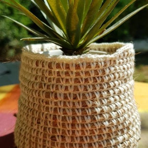 Può includere: Un piccolo cesto intrecciato color crema con una pianta verde al suo interno. Il cesto è fatto di fibre naturali e presenta un motivo intrecciato testurizzato.