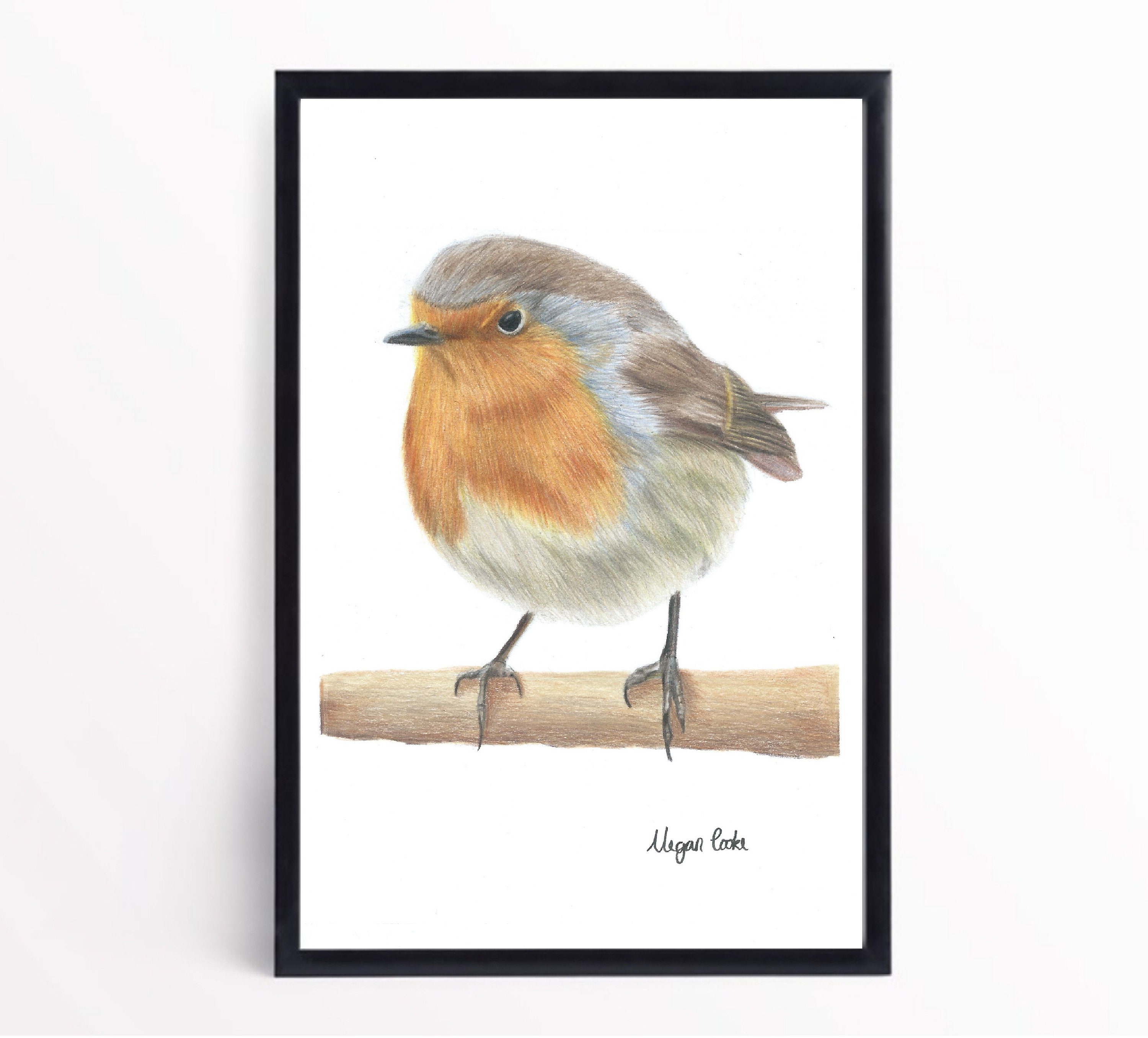 Robin Print Robin original art Robin red breast art print Etsy