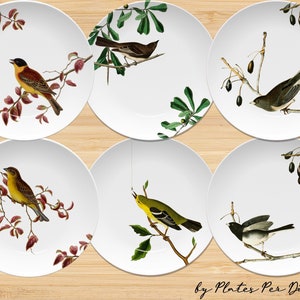 Perching Birds Mixed Set of 6 Dinner Plates for Indoor/Outdoor Dining & Entertaining, Microwave/Dishwasher Safe, Unbreakable Polymer Dishes