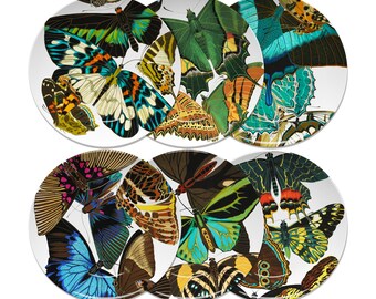 Blue Green Butterfly Dinner Plate Set of for Indoor/outdoor