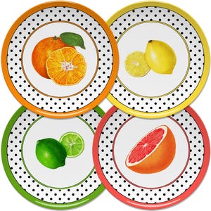 Citrus and Polka Dot Colorful Retro Style Dinner Plate Set for Indoor & Outdoor Entertaining, Microwave/Dishwasher Safe Unbreakable Polymer