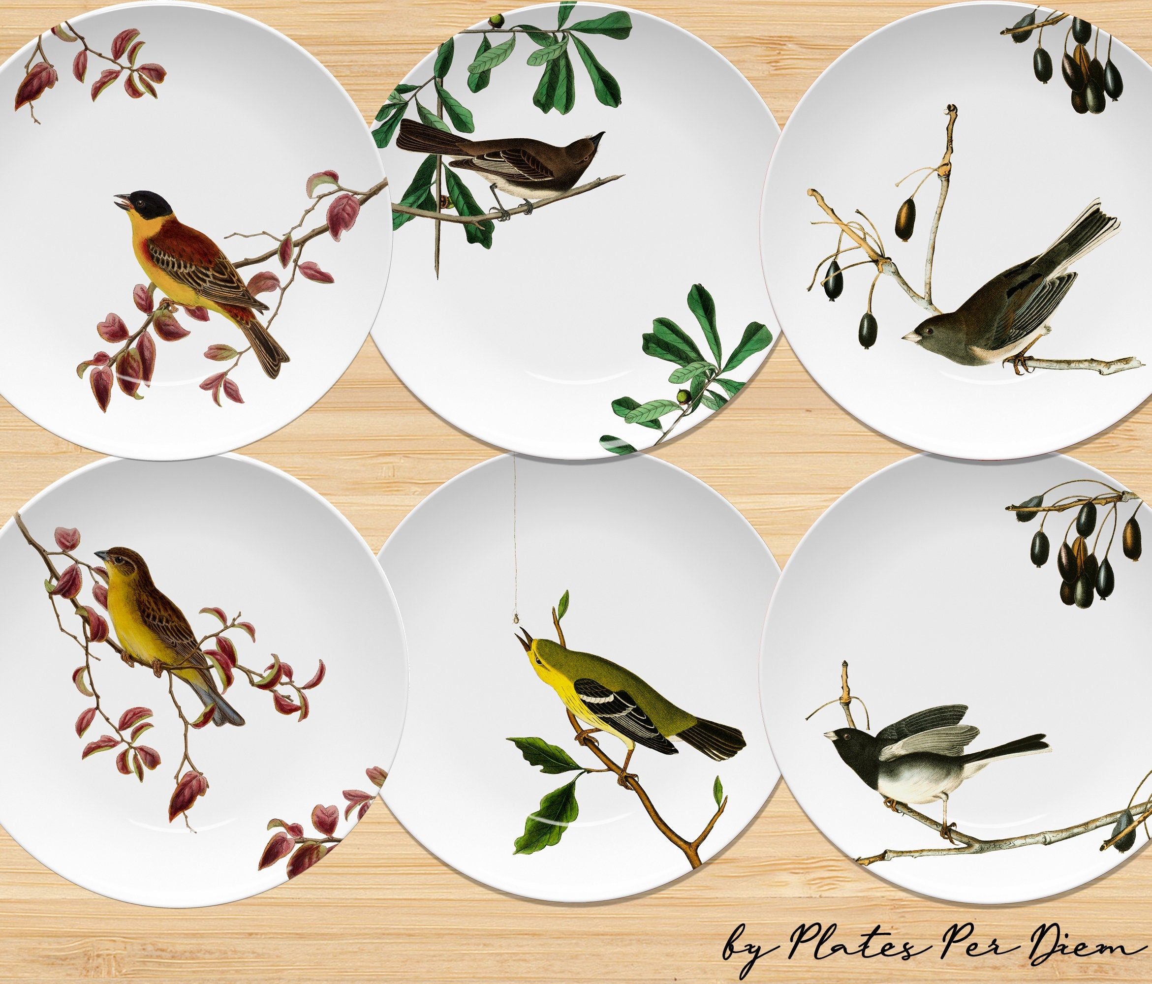 Snow White 'Blue Bird' Large Paper Plates (8ct) 