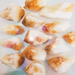 Citrine Points Root Crystal from Brazil