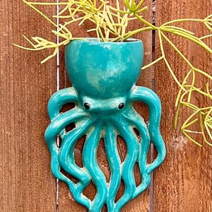 May include: A glossy turquoise ceramic wall planter shaped like an octopus with eight flowing tentacles and two dark eyes. The top section forms a rounded bowl holding a thin, light green plant with slender, branching stems extending outward.