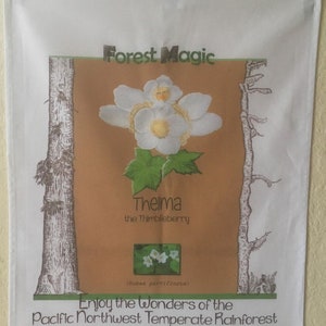 Set of 2, Pacific NorthWest Forest Magic Tea Towel-  Thelma Thimbleberry and Evalynn Evergreen Huckleberry