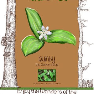 Set of 2, Pacific NorthWest Forest Magic Tea Towel- Quinby the Queen&#39;s cup and Wilda the Wild ginger