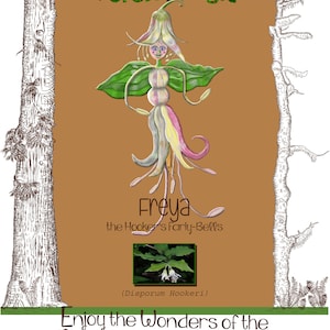 Set of 2, Pacific NorthWest Forest Magic Tea Towel- Freya the Fairybell and Thora and Tova the Twin flowers