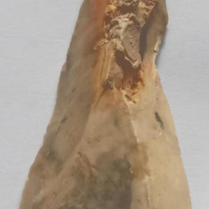 May include: A roughly shaped, light brown stone tool with a chipped edge and a textured surface. The tool has a lighter-colored area with a spiral pattern. The object appears to be an ancient artifact.
