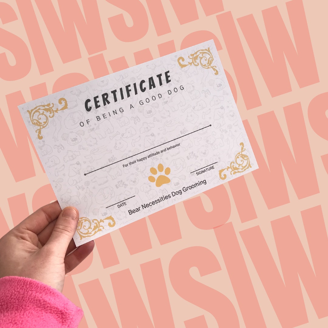 Dog Groomer Certificate Dog Grooming Certificate Dog Etsy