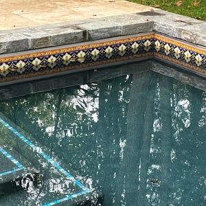 May include: A pool with a decorative tile border. The border features a repeating pattern of blue, yellow, and white floral designs. The pool's water reflects the surrounding trees and sky, creating a serene atmosphere.