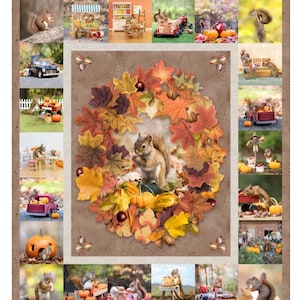 May include: A collage of images featuring squirrels in autumnal scenes. Squirrels are shown with pumpkins, leaves, and miniature vehicles. The central image features a squirrel surrounded by a wreath of fall leaves and pumpkins.