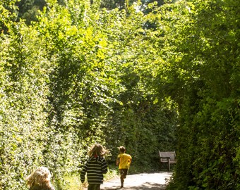 Kids Running | Country Roads | Happy Times | Zoom/Google Meets/Teams Background