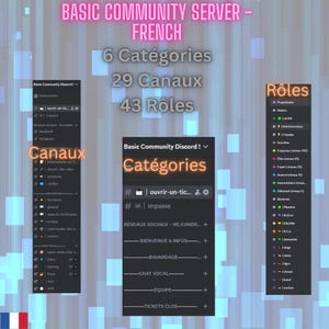 May include: A screenshot of a Discord server interface with the title "Basic Community Server - French". The server has 6 categories, 29 channels, and 43 roles. The categories include "Réseaux Sociaux - Rejoindre", "Bienvenue & Infos", "Bavardage", "Chat Vocal", "Equipe", and "Tickets Clos". The roles are listed in a sidebar with names like "Propriétaire", "Robots", "Administrateur", "Soudire", "Empor", "Elite", "Expert", "Avancé", "Intermédiaire", "Débutant", "Bénévole", "Membre", "Ethicus", "Elitale", "Elital", "demander", "chinge", "tigre", "cheval", "cochen".