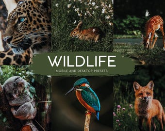 Wildlife Photography Lightroom Presets Enhanced Contrast and Color (Mobile & Desktop)