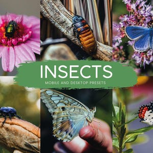 May include: A collage of images featuring various insects, including a green fly on a pink flower, a brown and orange cockroach on a branch, a blue butterfly on purple flowers, a black beetle on a mushroom, a white butterfly with brown markings on a finger, and a white and red butterfly on green leaves. The text "INSECTS" is written in white on a green background with the words "MOBILE AND DESKTOP PRESETS" below it.